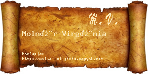 Molnár Virgínia névjegykártya